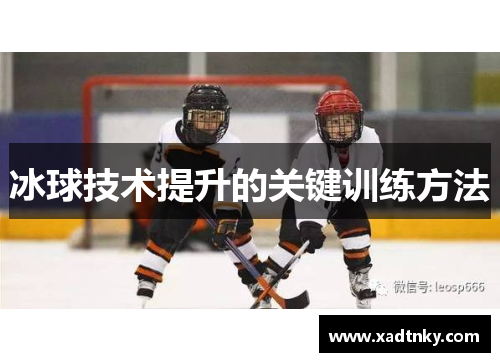 冰球技术提升的关键训练方法