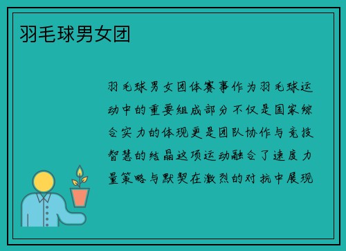 羽毛球男女团